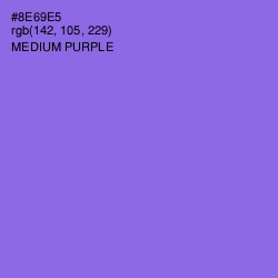 #8E69E5 - Medium Purple Color Image
